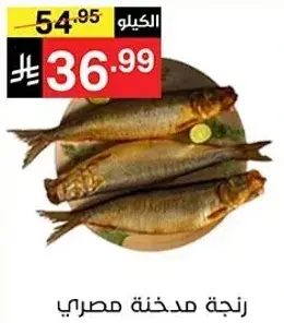 رنجه مدخنه مصري
