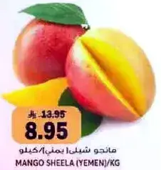 مانجو شيلاء يمني/كيلو