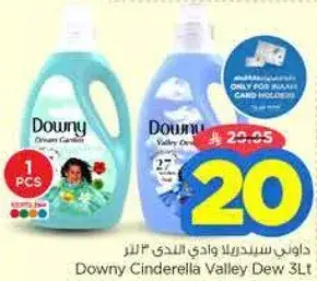 Downy Cinderella Valley Dew 3L
