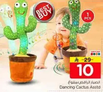الصبار الراقص متنوع