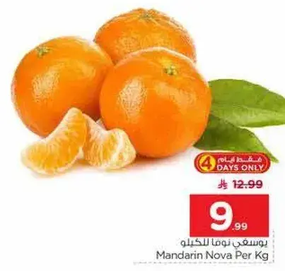 يوسفي نوفا لكل كيلو