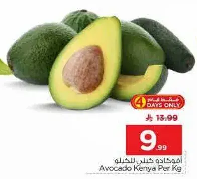 افوكادو كينيا لكل كيلو