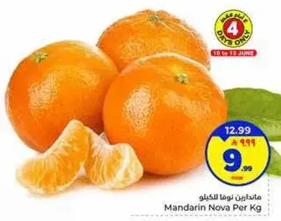 م mandarins نوفا للكغ