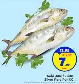 سمك بايا الفضي للكيلو