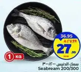سمك الدنيس 200/300