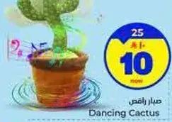 Dancing Cactus