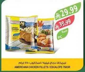 Americana Chicken Fillets / Escalope 750gr
