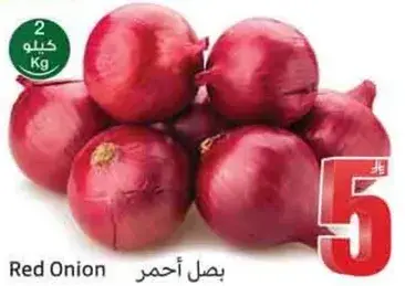 بصل احمر