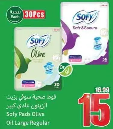 فوط صحيه سوفي زيتون
