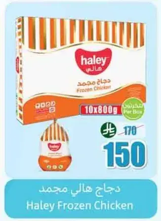 دجاج هالي مجمد