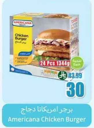 برجر امريكانا دجاج