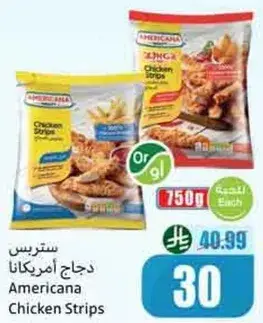 ستريس دجاج امريكانا