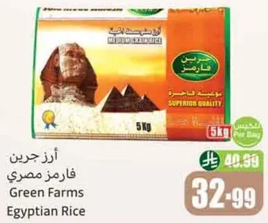 ارز جرين فارمز مصري