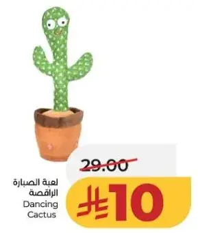 Dancing Cactus