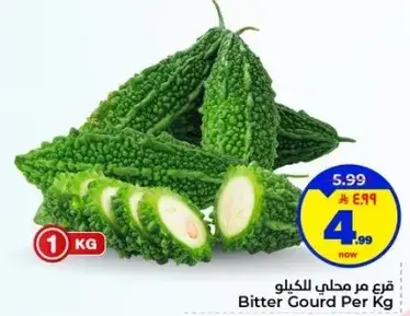 قرع مر محلي للكilo