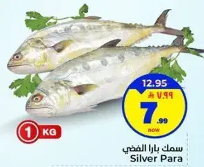 سمك بارا الفضي