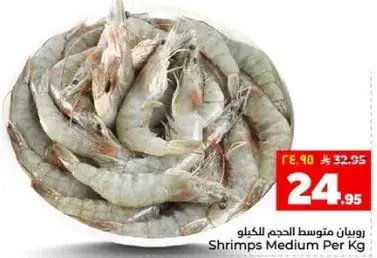 روبيان متوسط الحجم لكل كيلو