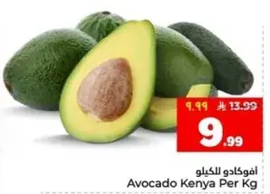 افوكادو كينيا لكل كيلو