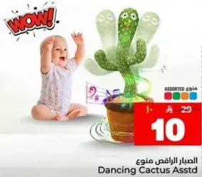 الصبار الراقص متنوع