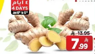 زنجبيل