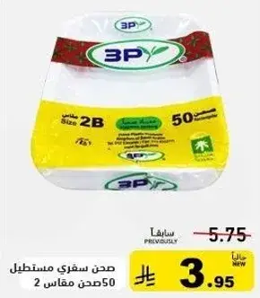 صحن سفري مستطيل 2B