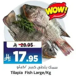 Tilapia Fish Large/Kg