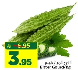 القثاء المر/كجم