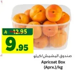 صندوق المشمش