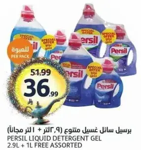 برسيل سايل غسيل متنوع (9.2 لتر + 1 لتر مجانا)