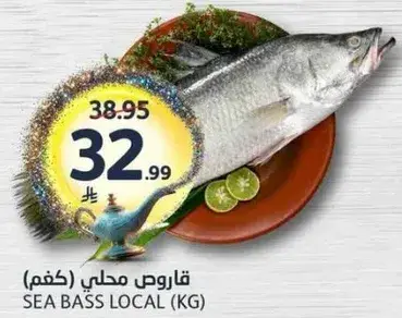 سمك قاروص محلي.
