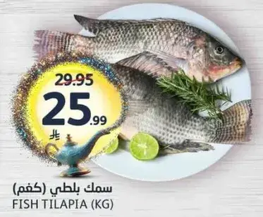سمك بلطي.
