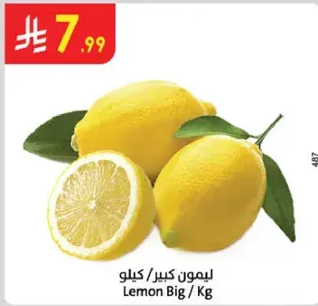 Lemon Big / Kg