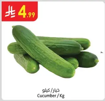 Cucumber / Kg