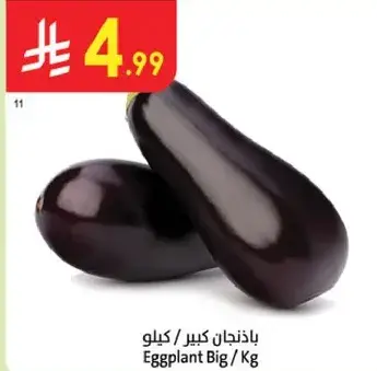 Eggplant Big / Kg