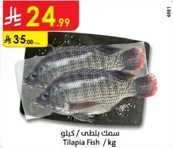 Tilapia Fish / kg
