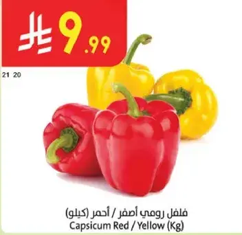 فلفل رومي اصفر / احمر (كيلو)