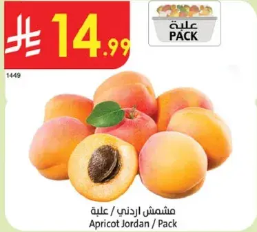 مشمش اردني / علبه
