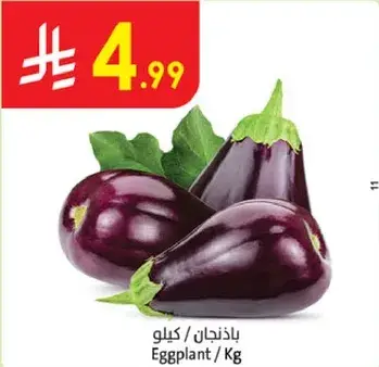 باذنجان
