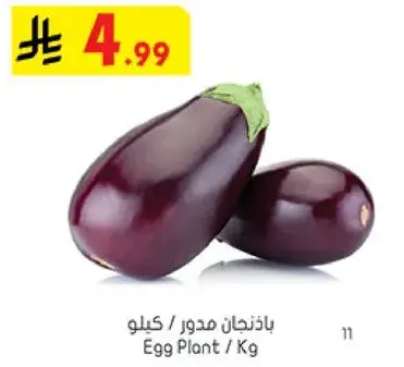 باذنجان مدور / كيلو