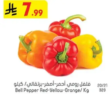 فلفل رومي احمر-اصفر-برتقالي / كيلوجرام