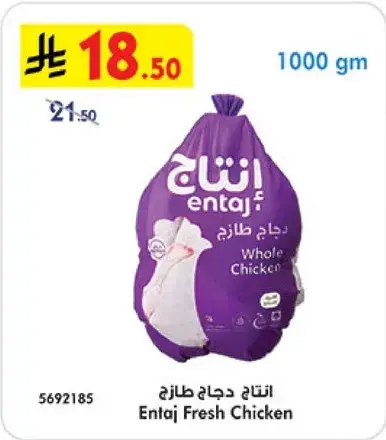 انتاج دجاج طازج