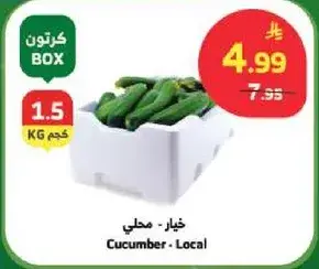 Cucumber - Local