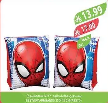 Bestway Spider-Man Armbands 23 x 15 cm (Assorted)