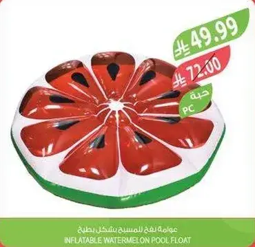 Inflatable Watermelon Pool Float