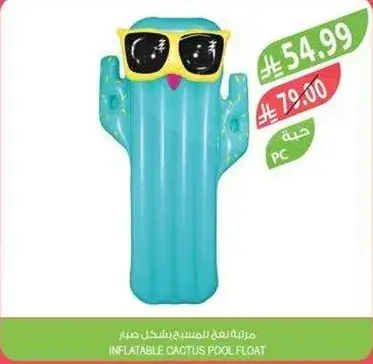 Inflatable Cactus Pool Float