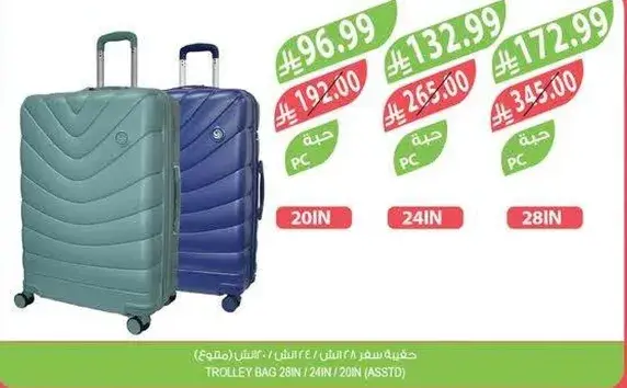 Trolley bag 28in/24in/20in (assorted)
