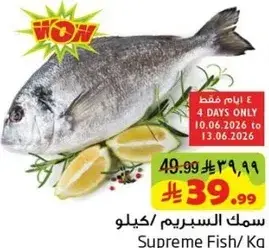 سمك السبرينم / كيلو