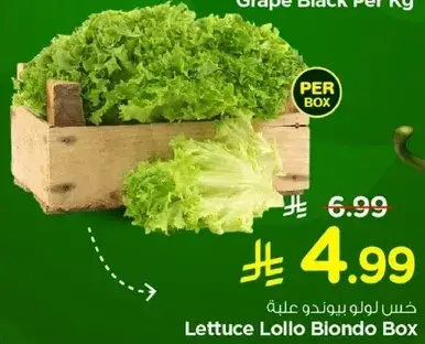 Lettuce Lollo Biondo Box