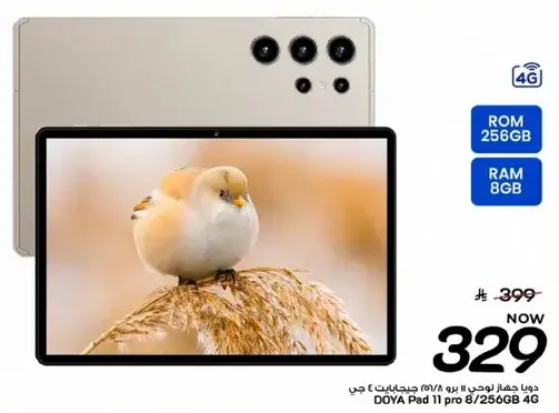 Doya Pad 11 Pro with 256GB ROM and 8GB RAM.