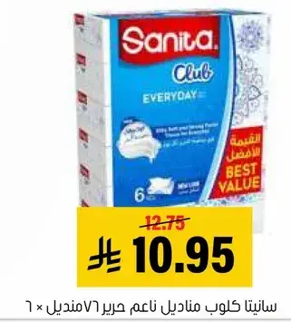 Sanita Club Everyday Facial Tissues, 6 pack